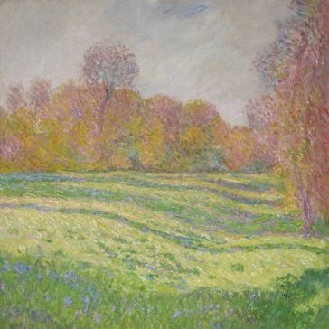 Sun outside my window STRAWBERRY GUY