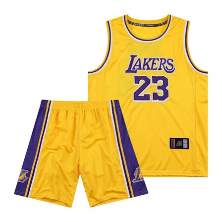 Nba James Baskettröja No 23 Lakers Jersey Set purple yellow L