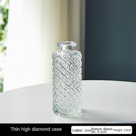 Glassvase Hydroponic Plant Vase G G