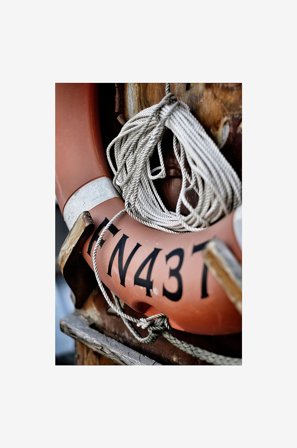 Malerifabrikken - Poster Lifebuoy - Flerfarget - Postere - Fra Homeroom