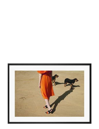 Democratic Gallery | Poster Walking Dogs | 35X50