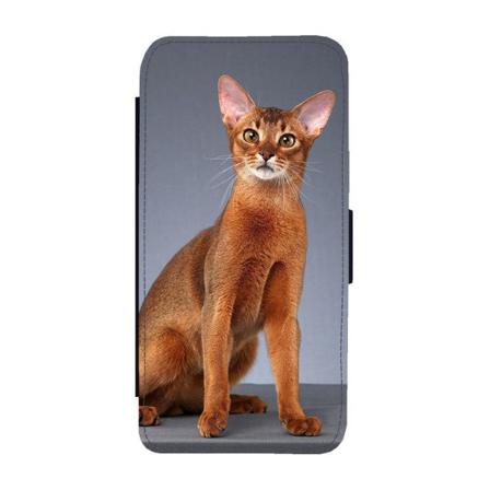 Katt Abessinier Iphone 14 Plus Plånboksfodral Multifärg