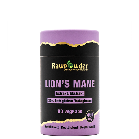 Lion's Mane Extrakt 450 mg 90 kapslar