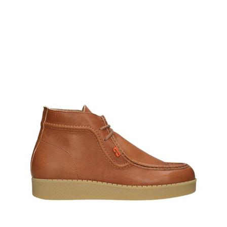 Levi's Laced Schoenen , Bruin , Heren , Maat: 43 EU