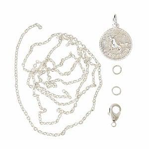 Me & My Box Silver Capricorn Zodiac Pendant Set One Size - Stationery - One size - Silver - Junge - Jewelries & Jewel-case