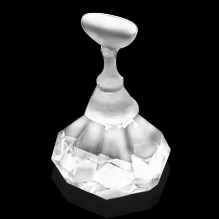 Negle skjønnhet manikyr øvelse display magnetisk sjakk