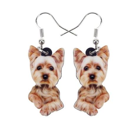 Örhängen Yorkshireterrier Terrier Hundras Dog Djur Hund Multifärg