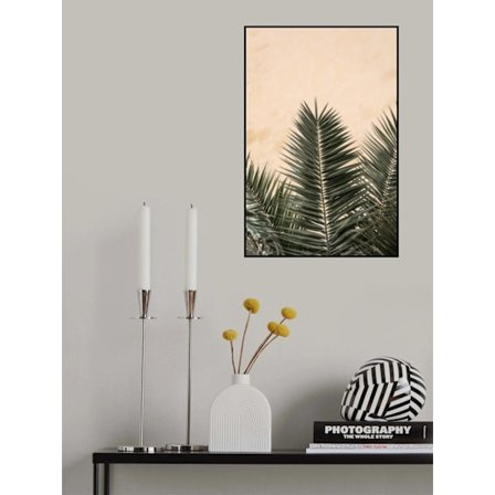 Palmeblade Og Væg_1