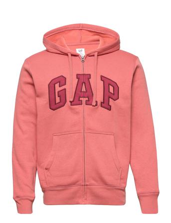 V-Heritage Logo Fz Snl Pink GAP