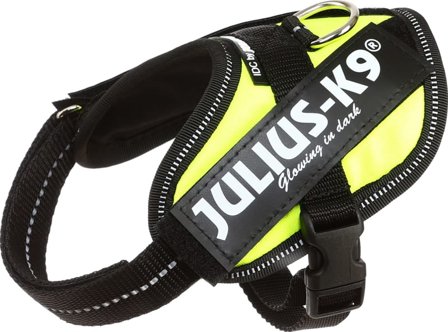 Julius-K9 Idc Harness UV Baby 2 Dog Harnesses & Dog Collars Green Baby 2