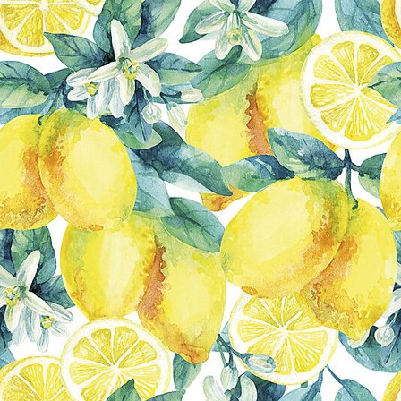 DaybyDay Servietter 33x33cm Watercolor Lemons white