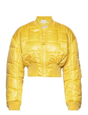 Alexie Yellow Rabens Sal R