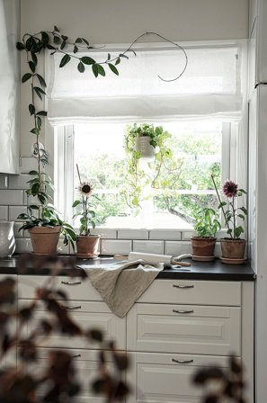 Hasta - Lamelgardin Linnéa højde 160 cm - Hvid - Foldegardiner - 80 - Fra Homeroom