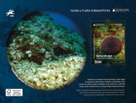Azorerne - EUROPA 2024 Undervandsfauna og -flora - Postfrisk miniark
