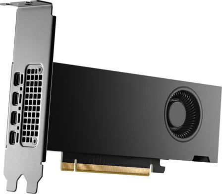 HP NVIDIA RTX 2000 Ada 16GB 4mDP Graphics