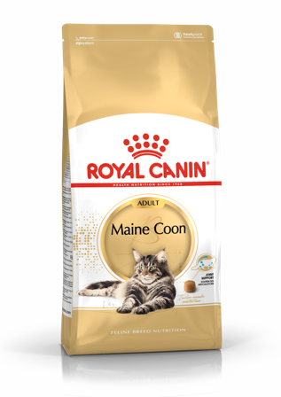 Royal Canin - Feline Breed Maine Coon 400 g - Katt - Kattefôr & kattemat - Tørrfôr for katt - ZOO.no