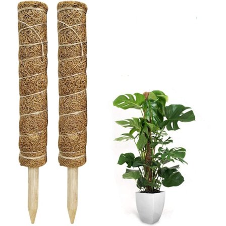 Mosstok, 2 stk. 40 cm Monstera klatrestøtte