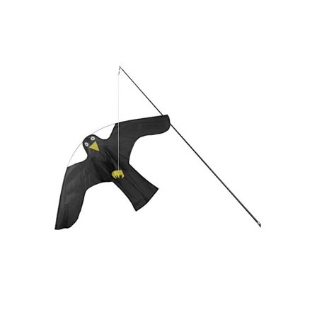 Fugleskremsel - stor fugl