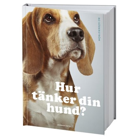 Hur tänker din hund? 9789178870059