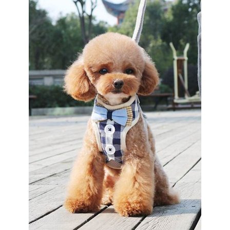 Hundsele och koppelväst, mjukt nätfodrad valpsele, anti-drag andningsbar justerbar valp fluga västsele för små medelstora hundar katter