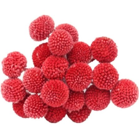 Craspedia globosa Materiale Blomst Udødelige Evige Blomster Gave (Rød, 20 stk)