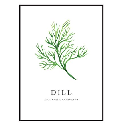 Poster Dill A4