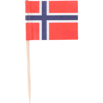 DEKORASJONSFLAGG NORGE