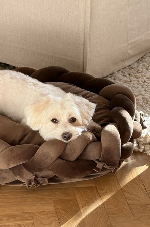 Jotex - Hunde-/katteseng Mørk brun - BRADY - Kjøp Hundeseng/katteseng hos Jotex