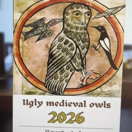 Underlig middelalderlig uglekalender 2026, sjov ugle vægkalender, grimme middelalderlige uglemalerier kalender, hvid elefant gave til fugleelskere