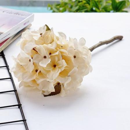 Hortensiablommor Gör-det-själv-present Bröllop Juldekor för hem Handgjorda hortensia torkade blommor Autumn White 1004