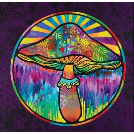 5d Diamantmaleri Sæt Farverige Svampe Diamantkunst Fuld Læge