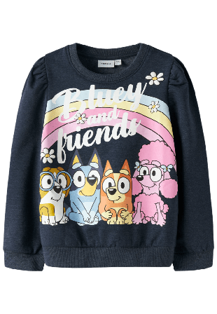 Name It NMFJENNEY BLUEY SWEAT BRU SKY Hoodies & sweatshirts Dam Blå 104