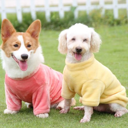 2 sjove tegneserie kæledyr tøj Teddy Sherry end Bear Corki sma