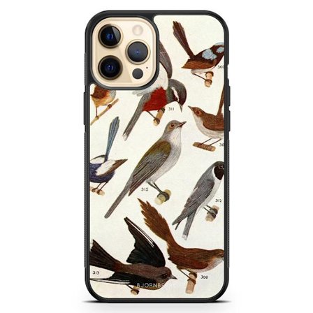 Bjornberry Hårdskal iPhone 12 Pro Max - Fåglar