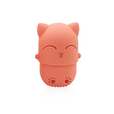 Powder Puff Blender CASE