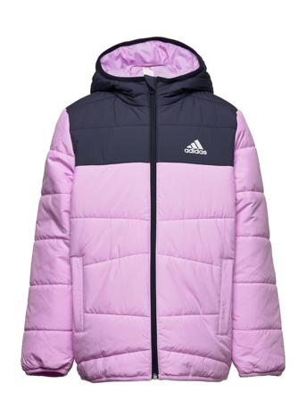 Padded Winter Jacket Foret Jakke Lilla Adidas Performance