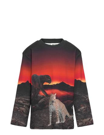 Mountoo T-shirts Long-sleeved T-shirts Multi/mönstrad Molo