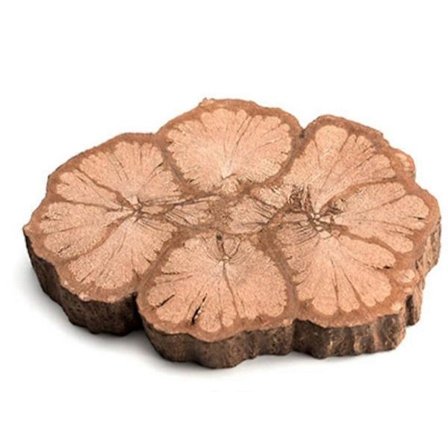 Luonnolliset puukiekot puunkuorella, puunrunkokoristeet tee-se-itse-askarteluun