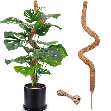 122 cm sammalpaalu, korkeat sammalpaalut sisätilojen kiipeilykasveille, sammalpaalutuki, puutarharistikko kasvitikut ruukkukasveille, kultaköynnös