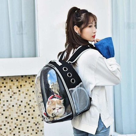 Sort kattehund taske rygsæk taske