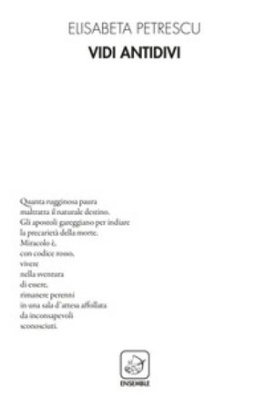 Vidi antidivi Elisabeta Petrescu