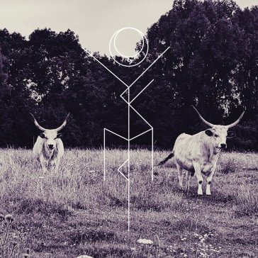 Capture - clear edition YAKIMA JERA