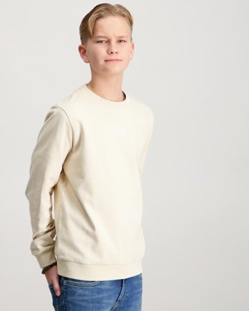 EA7 Emporio Armani SWEATSHIRT Beige Truien Jongens - Kids Brand Store