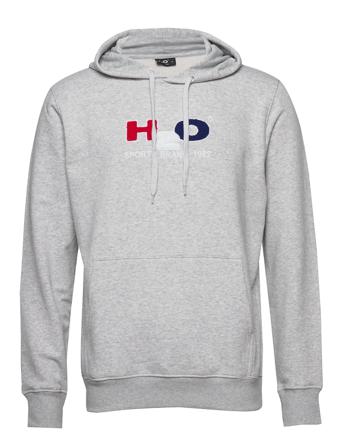 Absalon Hooded Sweat Hoodie Grå H2O
