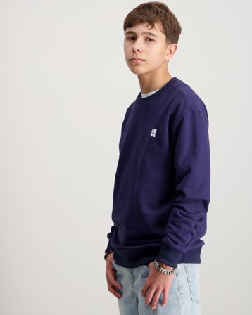 Zeke Essential Chest Print Crew Neck Blå Genser Gutt - Kids Brand Store