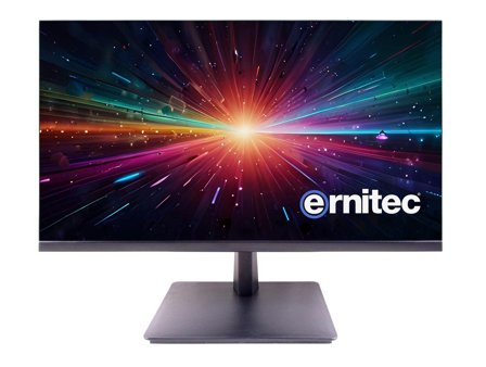 ERNITEC 22" Surveillance monitor