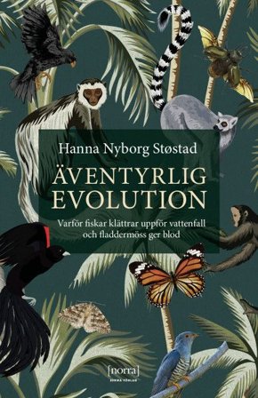 Äventyrlig evolution