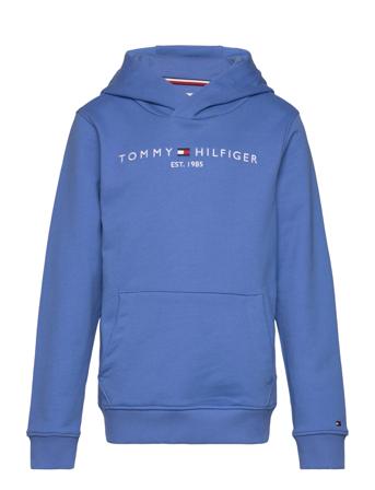 U Essential Hoodie Blue Tommy Hilfiger