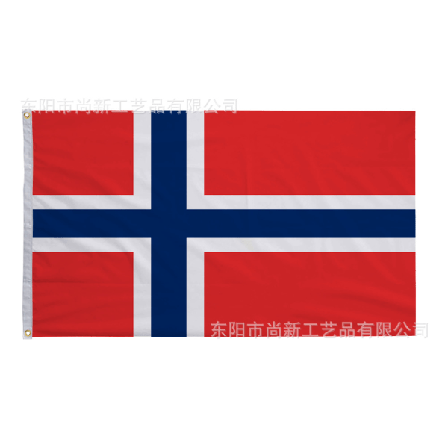 1PC Norges nationale flag til UEFA Euro 2024 90*150cm