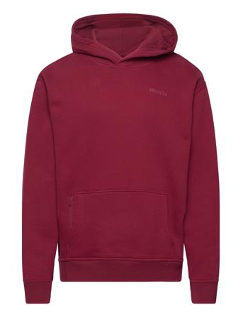 Hollister Hco. Guys Sweatshirts Burgundy